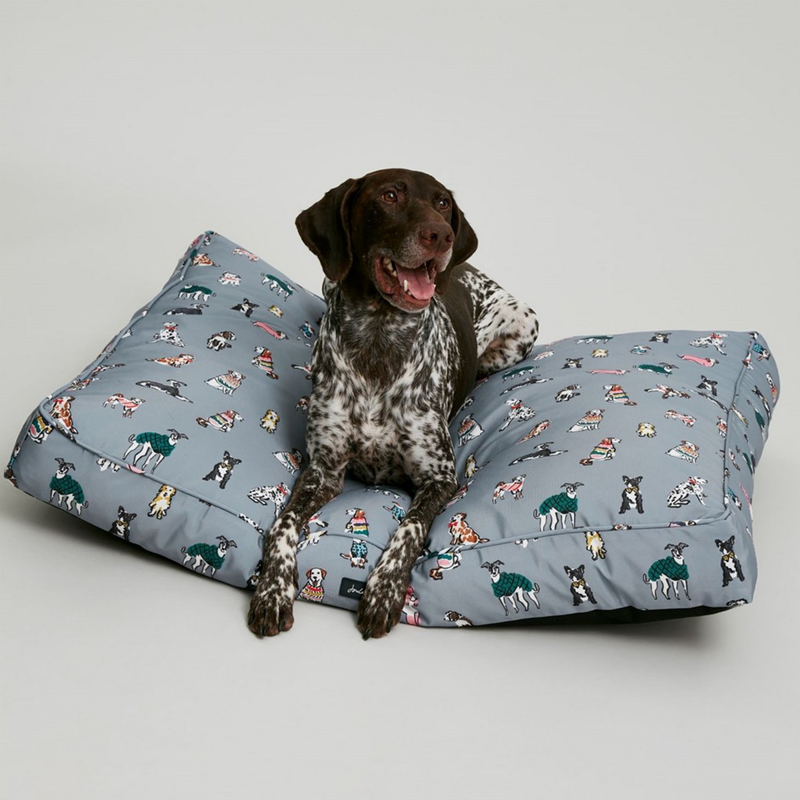 Joules Mattress Dog Bed - Rainbow Dogs-1